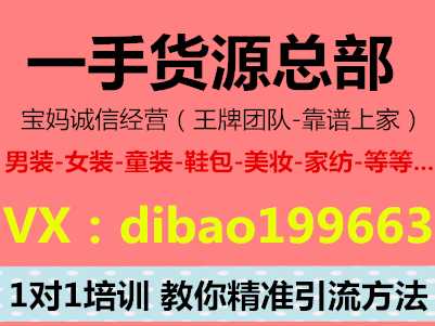 欧韩女装、童装微商货源，一件代发 手机创业兼职