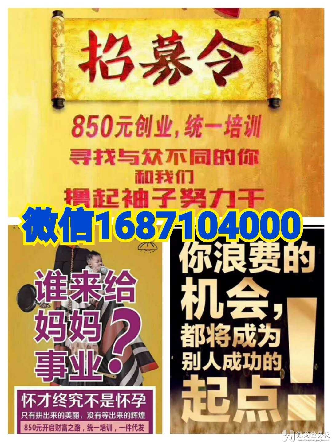 柏尚魅俪850几套代理?柏尚魅俪多少钱加盟代理