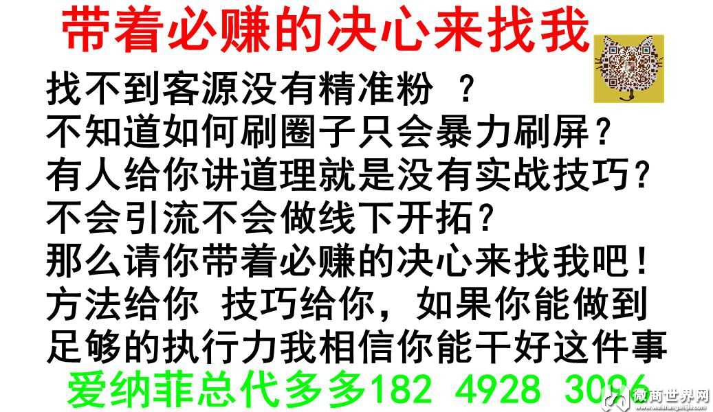 内衣代理内衣货源 爱纳菲内衣