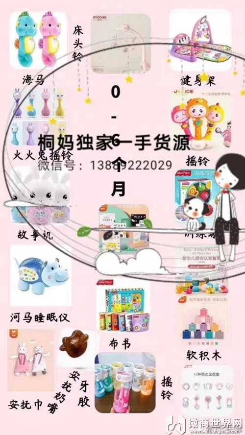 母婴玩具一手货源0囤2019玩转微商一件代发