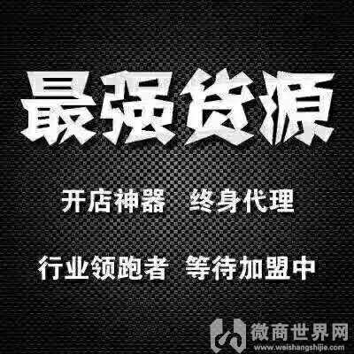 宝雯一手货源2019比较赚钱唯*纯利润收入一件代发