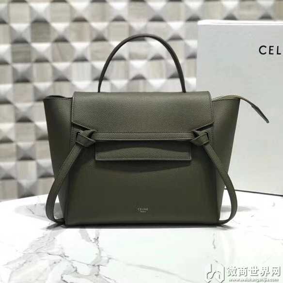 标注celine belt小牛皮手袋鲶鱼包，原单货对版专柜款