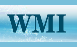 wmi