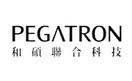 pegatron˶