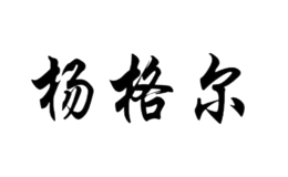 扬格尔ygr