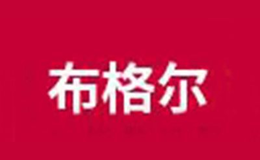 布格尔bgr