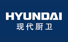 hyundaiִ