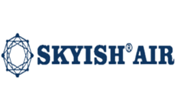 ʩskyish