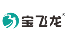 宝飞龙baofeilong