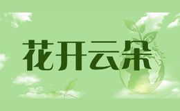 ƶ