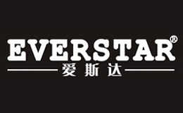 爱斯达everstar