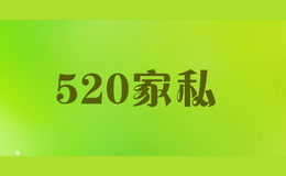 520��˽