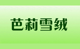 ѩ