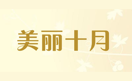 ����ʮ��