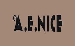 ������˹a.e.nice