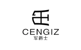 ����ʿcengiz