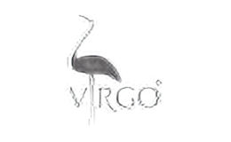 virgo化妆品virgo