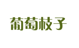 ����֦��