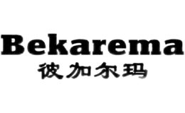 �˼Ӷ���bekarema