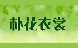 �ӻ�����