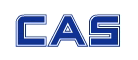 ��ʿcas