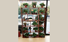 �Ұ�����