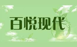 �����ִ�