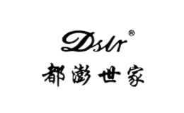dilr