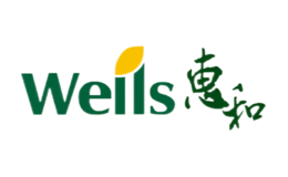 �ݺ�wells