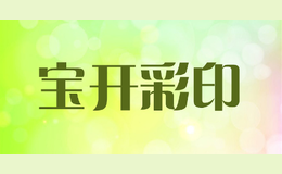 ������ӡ