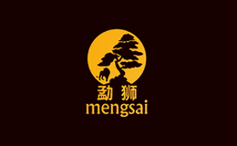 ��ʨmengsai