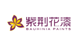 bauhinia�Ͼ�����