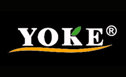 �Ÿ�yoke