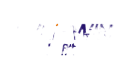 ��ʤ��everwin