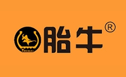 ̥ţ