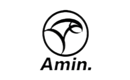 amin�˶�����