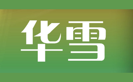 ѩ