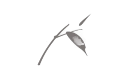 Ѱ����xunlive