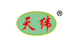 γ