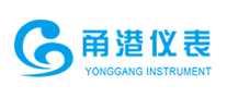涌港仪表