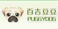 百吉豆豆puggydog