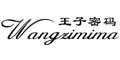 王子密码wangzimima
