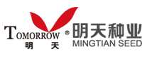 明天tomorow