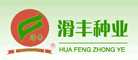 滑丰huafeng