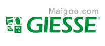 giesse˹