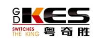 粤奇胜kes