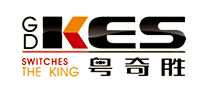 粤奇胜gdkes