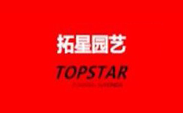 ԰topstar