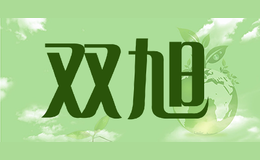 ˫