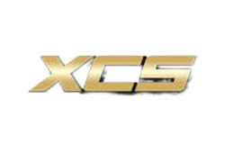 xcsҾ